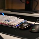 블루피시방 이미지