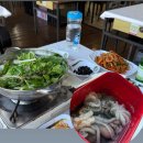 서천 마량리 동백나무 숲 | 서천 쭈꾸미 축제 후기 (+마량리 동백나무숲 개화상태, 가격, 코스 정리)