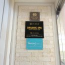 비에이치티스파 이미지