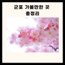 군포 가볼만한 군포 가볼만한곳 군포 가볼만한곳 베스트10 이미지