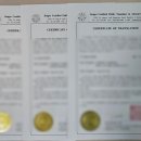 광화문행정사사무소 이미지