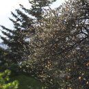 단계초등학교 이미지