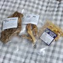 원더플독 이미지