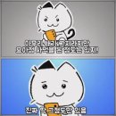 요거팡 이미지
