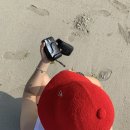 젠틀리하우스 이미지