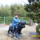 쌍계초등학교 이미지