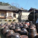 월곡댁 Daum카페