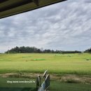 무왕 골프연습장 이미지