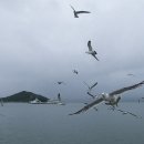 전득이고개 이미지