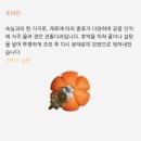 제일다방 | 창덕궁 약다방, 15,000원 날린 첫날 첫타임 후기 (+예약·좌석·메뉴 팁)