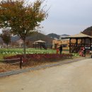 대가야농촌문화체험특구 캠핑장 이미지