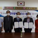 도개초교 경북신문
