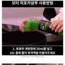 히포 이미지