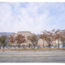 댄스스포츠 중급(야간) | 비발디파크 스키강습 재밌었던 후기