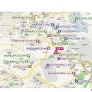 그린카클리닉 이미지