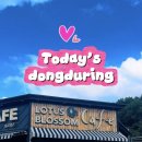 한카페 | [내돈내산] 🌸속리산에 힘숨찐 카페가..?? 힘숨찐 풍경에 힐링 제대로 한 카페 후기