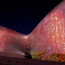 신호프라자 이미지