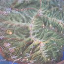 한강 자전거도로8 이미지