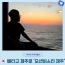 주식회사 프렌즈렌트카 | 제주 차량선적 배편 후기 총정리 삼천포→제주 오션비스타 제주 프렌즈 2인 창가 룸 선셋까지
