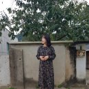 마켓통통 이미지