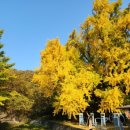 럭키1 경로당 이미지