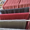 디아이인터내셔널 이미지