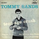 Teenage Crush - Tommy Sands 이미지