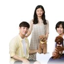 아르누보스튜디오 이미지