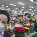 달오선원 네이버블로그