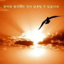 대양을 향해서 이미지