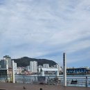 노래하는포장마차 | 부산 자갈치시장 봄바다 감성 제대로 | 회 먹고 난 뒤 산책부터 맥주 한 잔까지