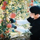더신선유통 이미지