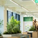 리치마트 이미지