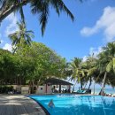 트리메드 | [몰디브 클럽메드 여행후기8] 클럽메드에서 만난 동물,식물