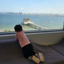 알파키즈치과의원 이미지