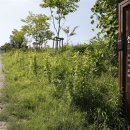 선애마을영암 이미지