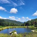 잣향기푸른숲 유아숲체험원 이미지