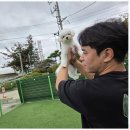 선사애견 이미지