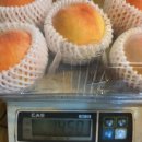 말랑달콤 이미지