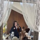 일상을 담는 인스타그램 | 서울 송파 반려동물 프로필, 가장 빛나는 순간을 담는 잇츠미 스튜디오 개족사진 촬영후기