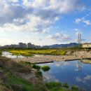 삼진자동차 | 마산 가볼만한곳, 맛집 베스트 10곳 내돈내산