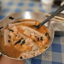 산수유축제장 이미지