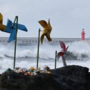 제주체크부동산중개 이미지