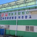 금실 이미지