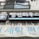 펭귄세탁 이미지
