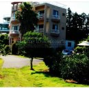 해라의성 이미지