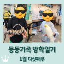 명전미용실 - 오산시 오산로 269 | 방학일기 3 / 이케아 고양점 / 김포 미어캣인더시티 / 설날 전 미리 시댁,친정 방문