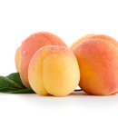 스크린 영어회화 이미지