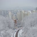 단대공원 Daum카페
