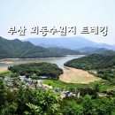 수원지식사랑
